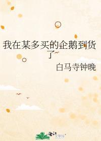 企鹅购物