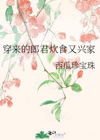 穿来的郎君炊食又兴家全文