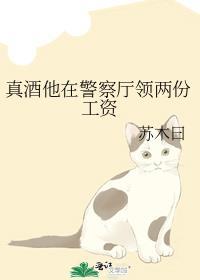 警察酒局多吗