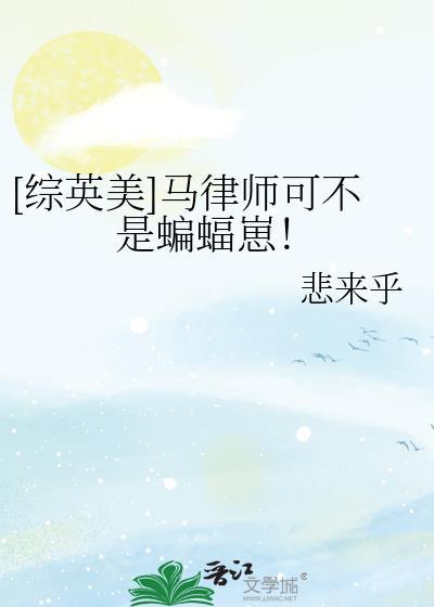 律师马丁