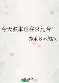 波本lofter