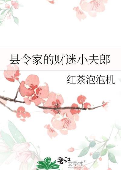 县令家的财迷小夫郎更新