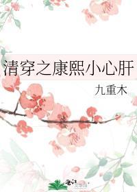 清穿之康熙的小妾