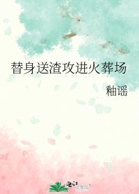 完美婚配 笑佳人讲的什么