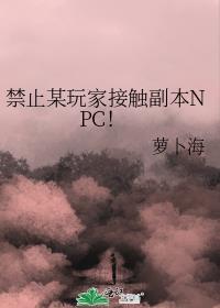 禁止某玩家接触副本npcby
