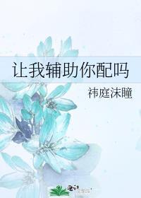 让我辅助你配吗免费阅读全文