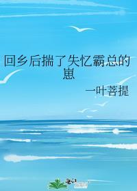 回乡后揣了失忆霸总的崽 一叶菩提 免费