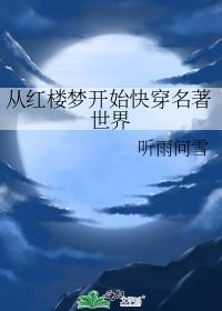 穿越从红楼开始起点