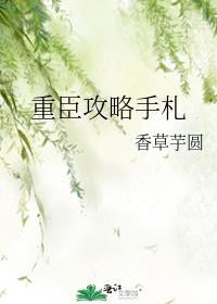 重臣攻略手册好看吗
