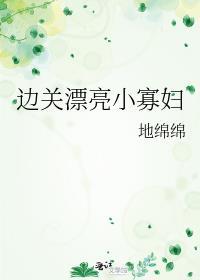 边关漂亮小寡妇全文