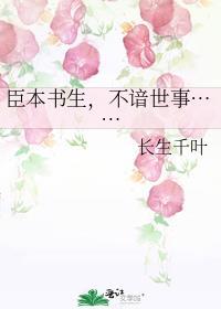 臣本布衣完整诗句是什么