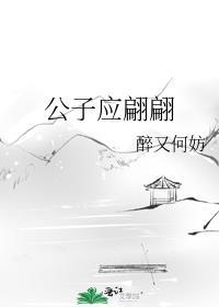公子应翩翩讲了什么