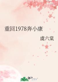 重回1978赶山致富封面
