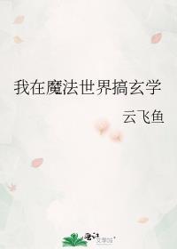 我在魔法世界当上