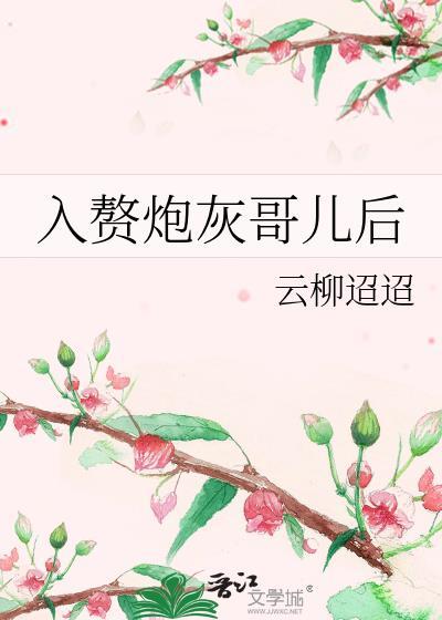 入赘炮灰哥儿后大结局