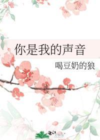 你是我的声音对吧