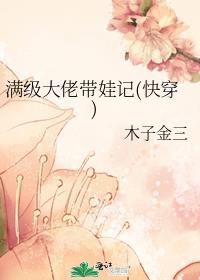 满级大佬系列