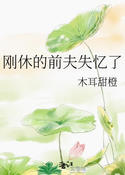 刚休的前夫失忆了 木耳甜橙