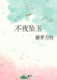 不夜坠玉