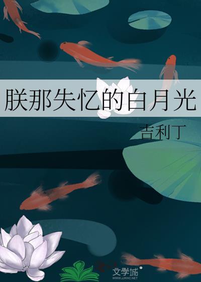 朕那失忆的白月光