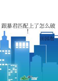 开局默尔索怎么办