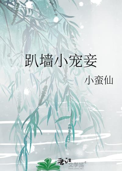 趴墙小宠妾