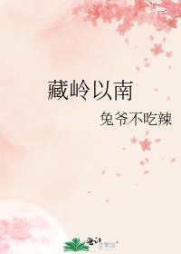 藏岭以南