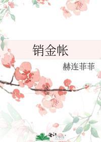 销金帐