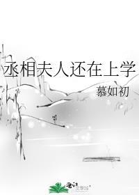 丞相夫人还在上学