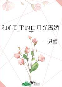 和追到手的白月光离婚了