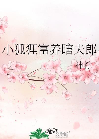 小狐狸富养瞎夫郎