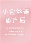 小金丝雀破产后
