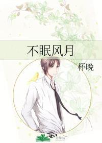 不眠风月