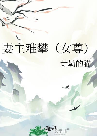 妻主难攀（女尊）
