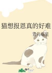 [娱乐圈]失控