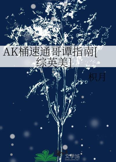 AK桶速通哥谭指南[综英美]