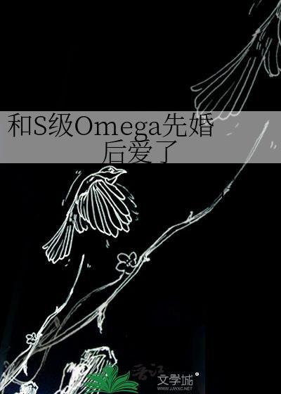 和S级Omega先婚后爱了