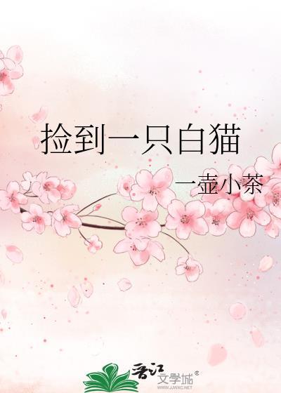 捡到一只白猫