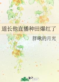 打怪掉落五条猫猫之后