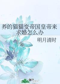 养的猫猫变帝国皇帝来求婚怎么办